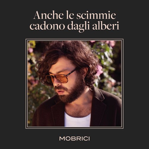 Mobrici, “Anche le scimmie cadono Dagli alberi”: recensione e streaming