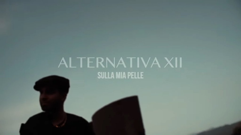 alternativa XII
