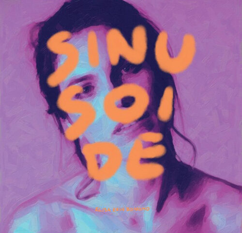 Elisa Erin Bonomo, “Sinusoide”: la recensione