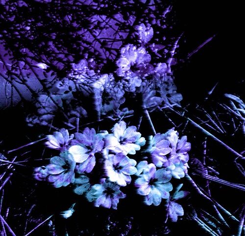 Criptabasement: “Wonderland” feat. Mattia Salvadori e ARJANNAKC è il nuovo singolo