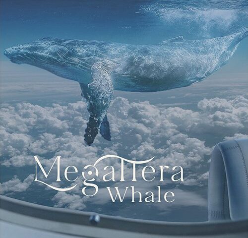 Megattera: “Whale” è il singolo d’esordio