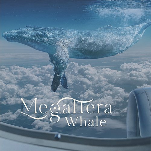 Megattera: “Whale” è il singolo d’esordio