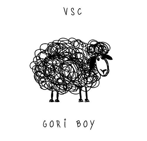 Gori Boy: “VSC” è il nuovo singolo
