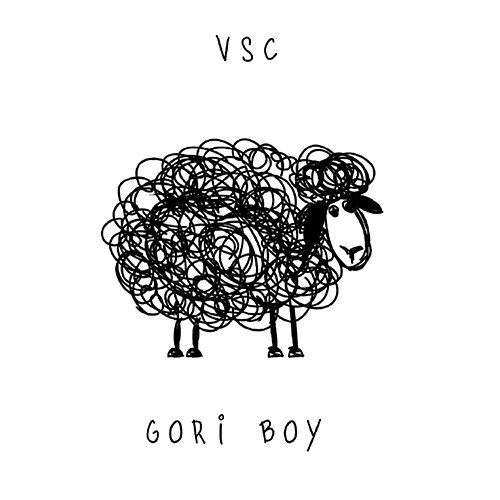 Gori Boy: “VSC” è il nuovo singolo