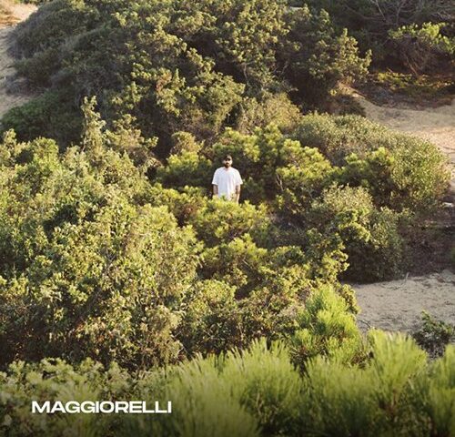 Maggiorelli, “Niente male”: recensione #esordio