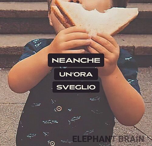 Elephant Brain: “Neanche un’ora sveglio” è il nuovo singolo
