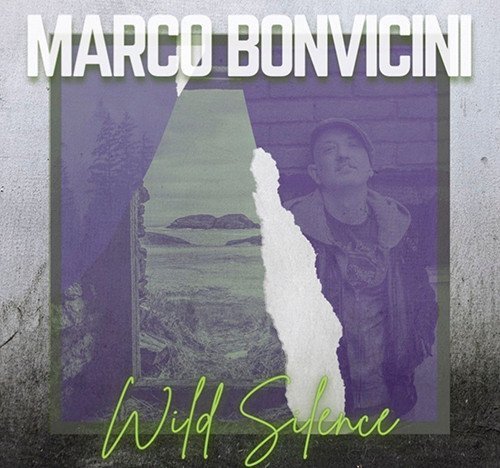 marco bonvicini