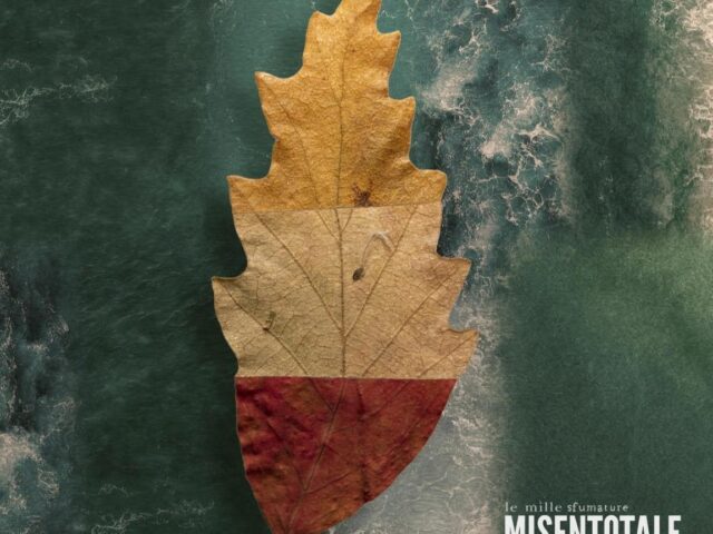 Misentotale, “Le mille sfumature che non ho”: la recensione