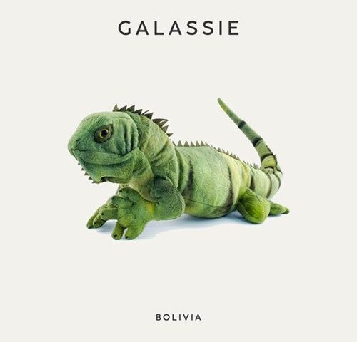 Galassie: “Bolivia” è il nuovo singolo
