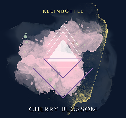 kleinbottle