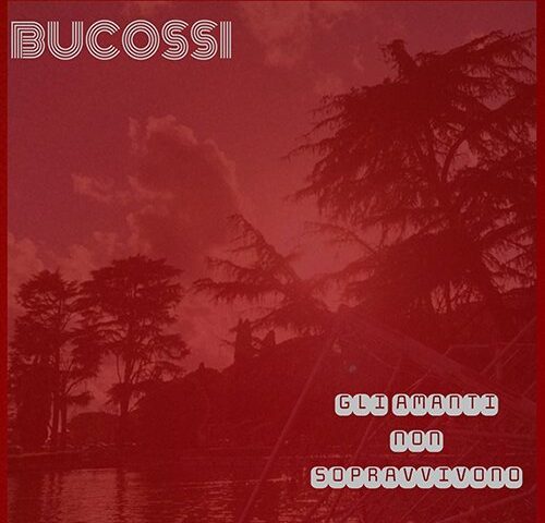 Bucossi: “Gli amanti non sopravvivono” è il nuovo singolo