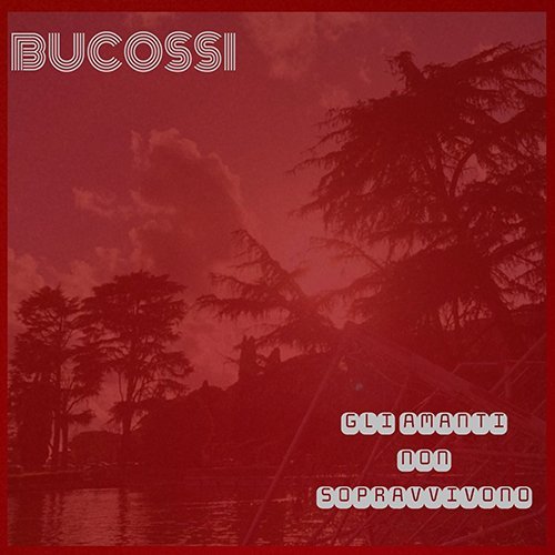bucossi
