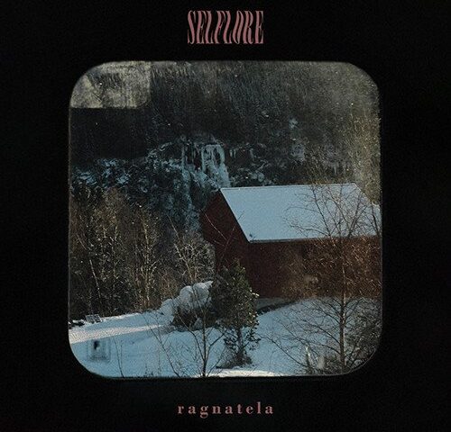 selflore: “Ragnatela” è il nuovo singolo