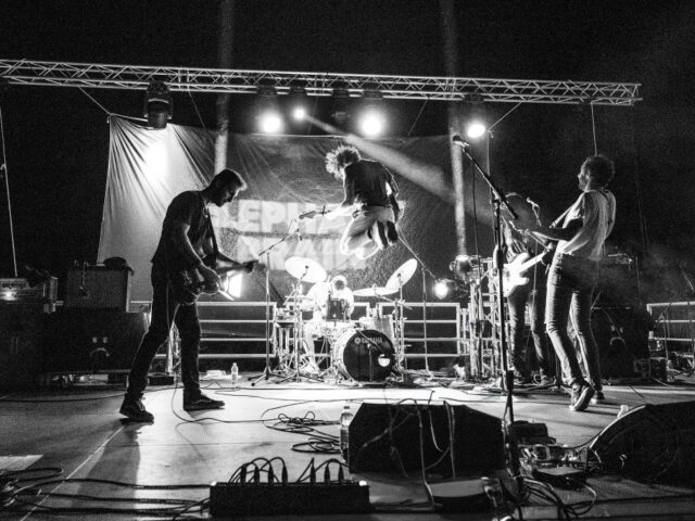 Elephant Brain @Improbabile Festa: la gallery