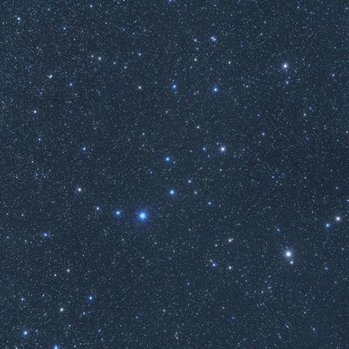 ariete