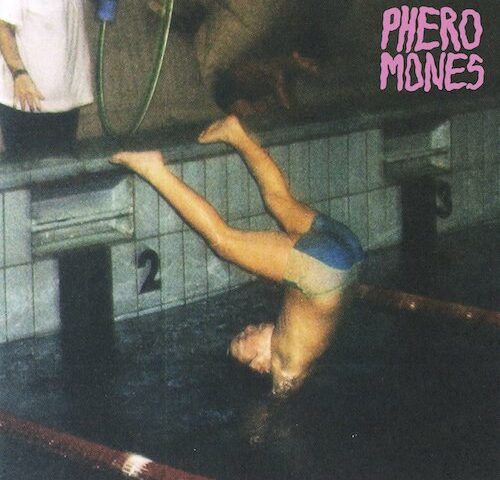 Pheromones, “Pheromones”: la recensione