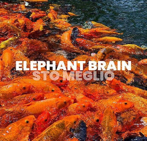 Elephant Brain: nuovo tour e nuovo singolo