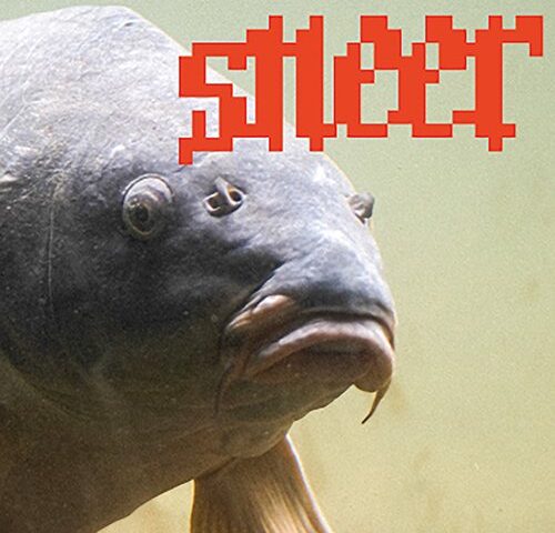 Sneer, “young_again”: la recensione