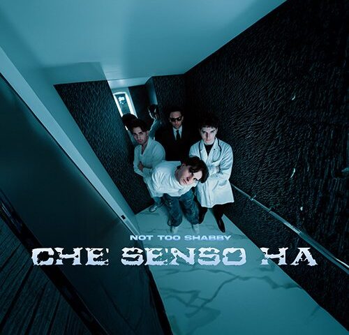 Not Too Shabby: “Che senso ha” è il nuovo singolo