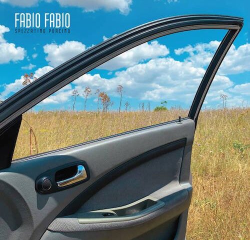 Fabio Fabio, “Spezzatino Porcino”: la recensione