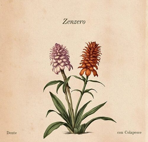Dente feat. Colapesce: “Zenzero” è il nuovo singolo