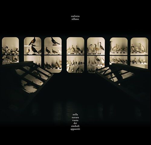 Carlotta Sillano, “Nella natura vuota dei simboli appassiti”: la recensione