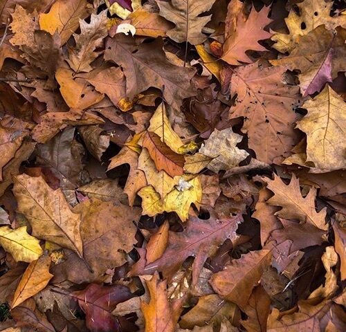 Dieci dischi notturni, per l’arrivo dell’inverno e le ore buie