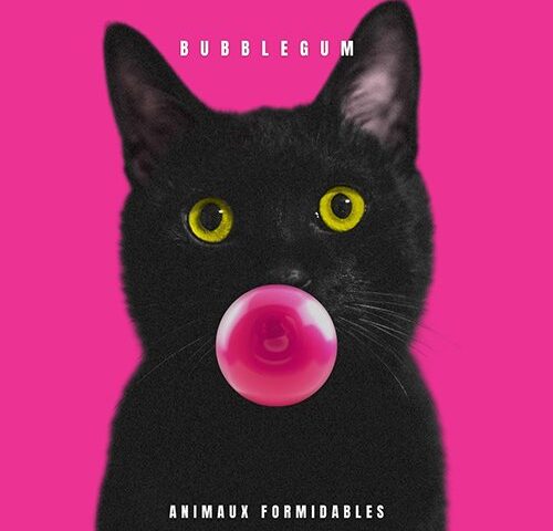Animaux Formidables: “Bubblegum” è il nuovo video