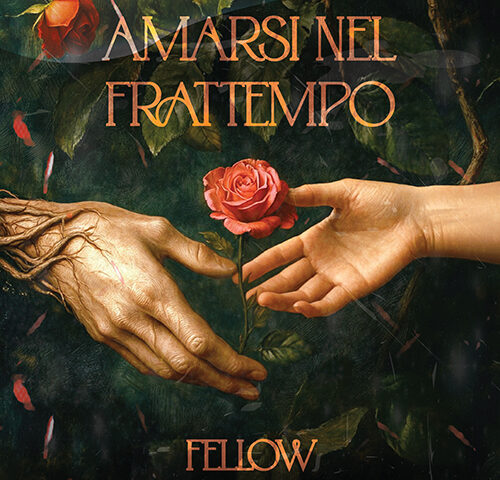 Fellow: “Amarsi nel frattempo” è il nuovo video