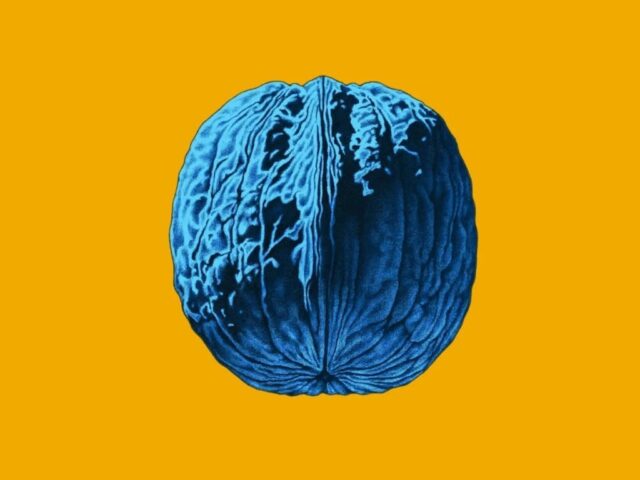 Brunori Sas, “L’albero delle noci”: recensione e streaming