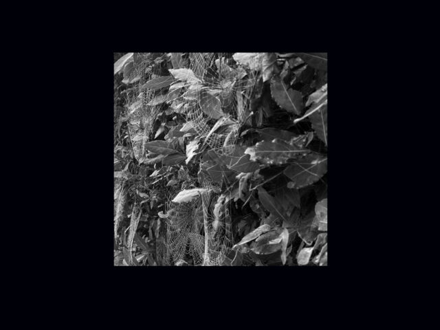 Weird Unhappy Things, “5 canzoni per le piogge primaverili”: la recensione