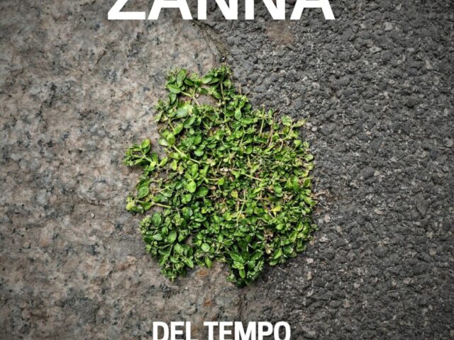 Zanna, “Del tempo, degli elementi”: la recensione