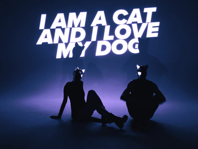 Animaux Formidables: “I Am a Cat and I Love My Dog” è il nuovo singolo