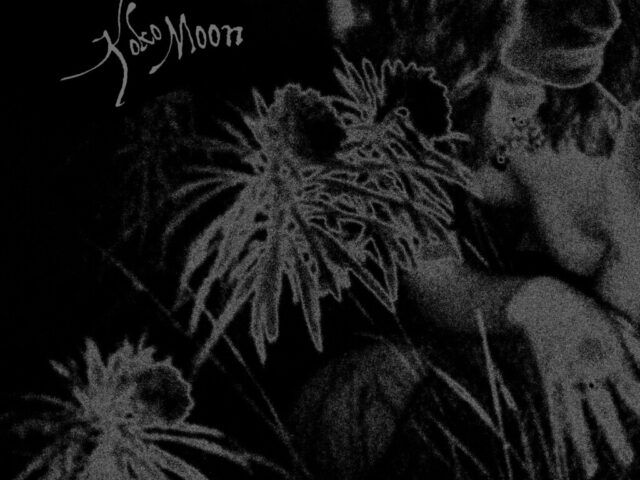 Koko Moon, “Let the Wild run at Night”: la recensione