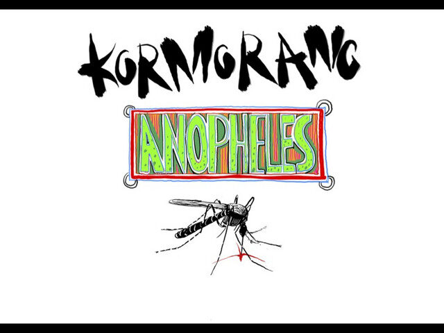 Kormorano: “Anopheles” è il nuovo singolo