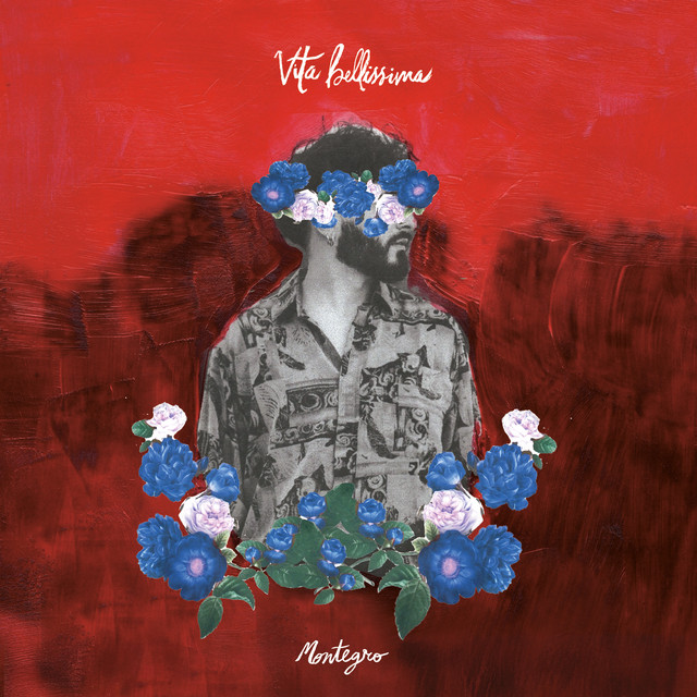 Montegro, “Vita bellissima”: la recensione