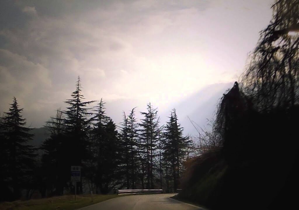 Recensione: Amycanbe, “Wolf”