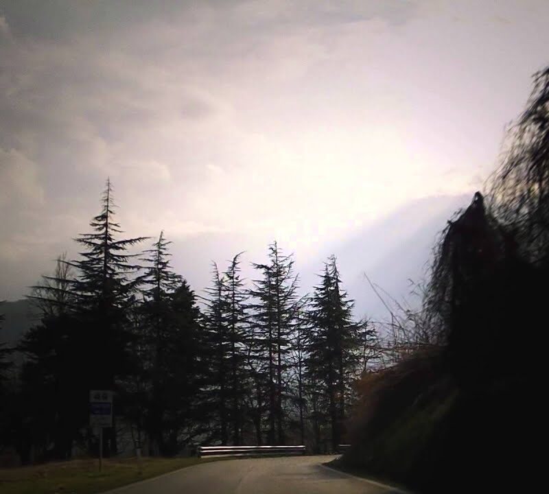 Amycanbe: lasciarsi travolgere