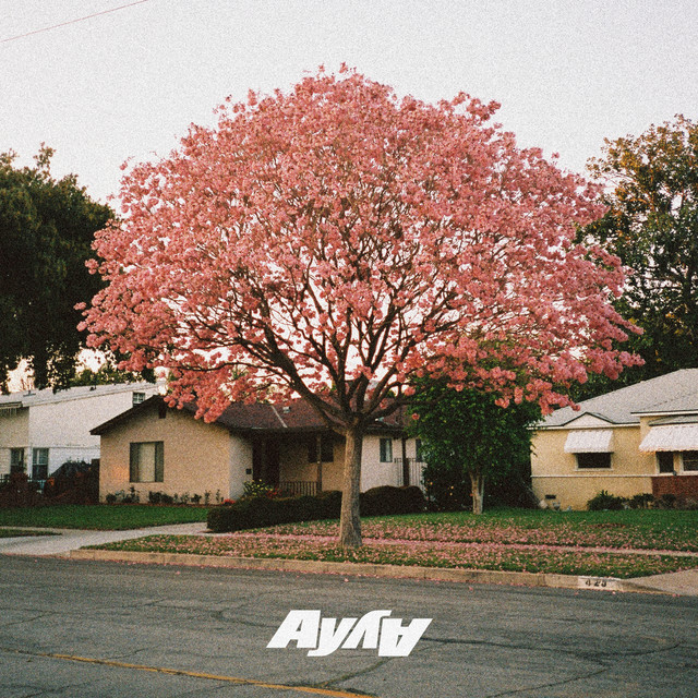 Ay Ay: “What You Need” è il nuovo singolo