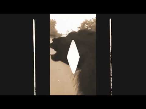Rainbow Bridge: “Words” è il nuovo video #trakoftheday