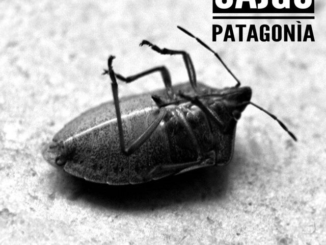 Cajgo, “Patagonìa”: la recensione