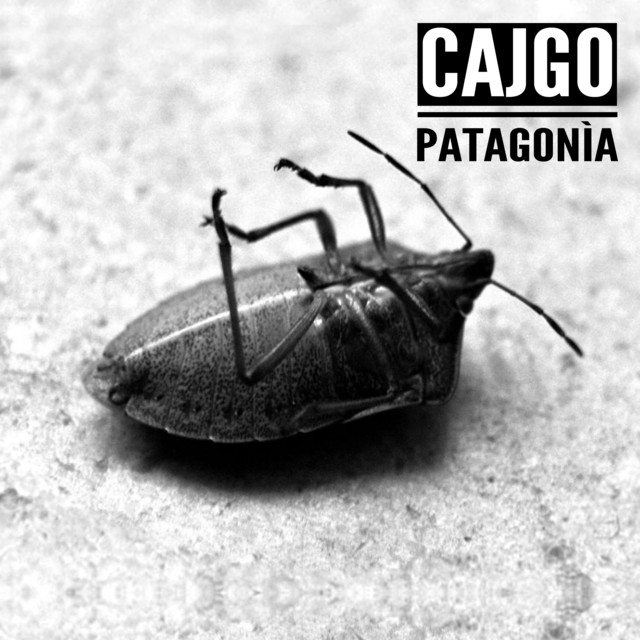 Cajgo, “Patagonìa”: recensione e streaming