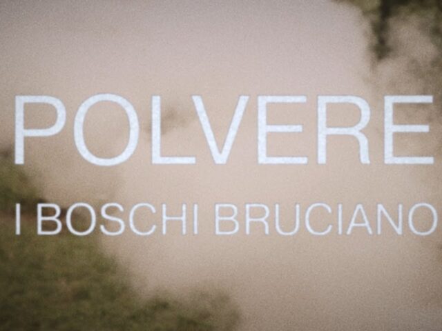 I Boschi Bruciano: “Polvere” è il nuovo video #trakoftheday