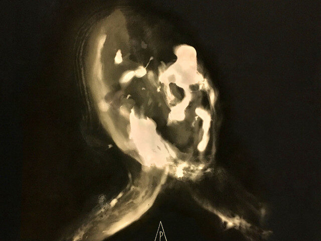 Pieralberto Valli, “Numen”: la recensione
