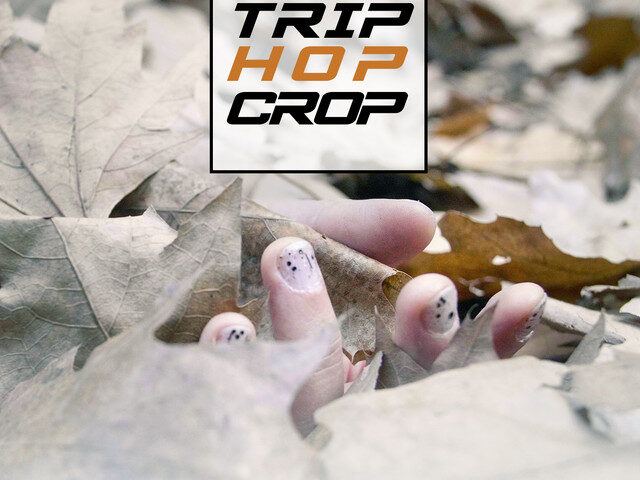 Trip Hop Crop: la compilation dedicata al Bristol Sound