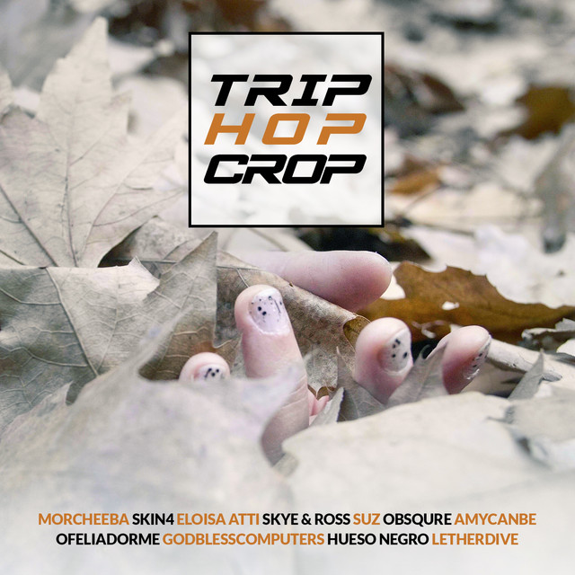 Trip Hop Crop: la compilation dedicata al Bristol Sound