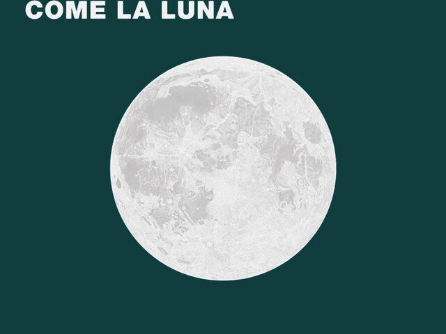 Management: “Come la luna” è il nuovo singolo