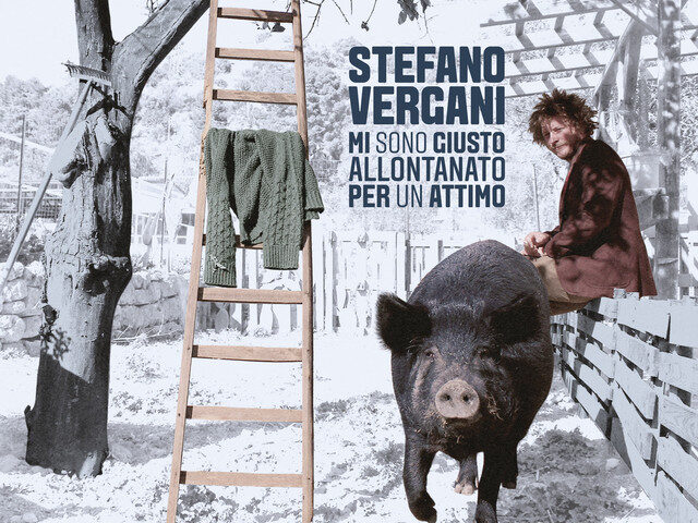 Stefano Vergani, “Mi sono giusto allontanato per un attimo”: la recensione
