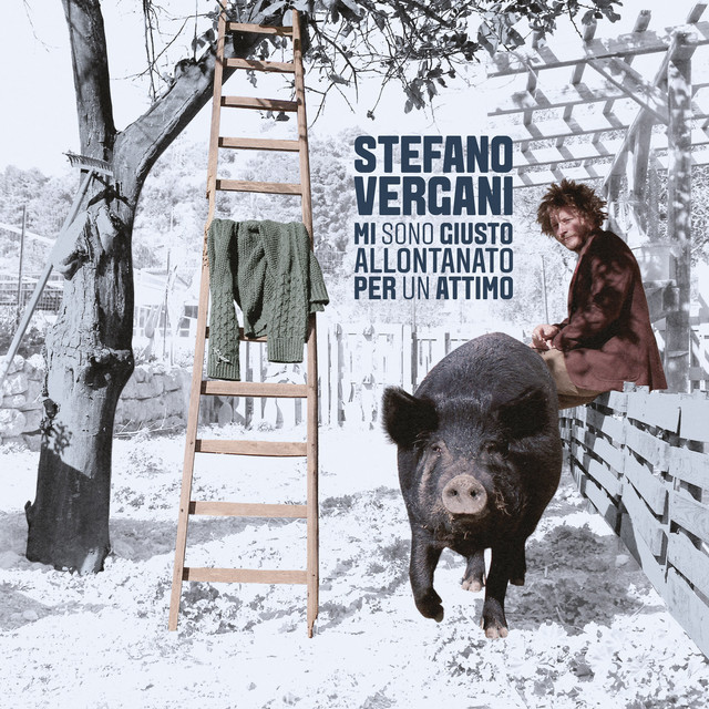 Stefano Vergani, “Mi sono giusto allontanato per un attimo”: la recensione