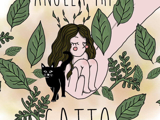 Angela Iris, “Un bel guaio”: la recensione